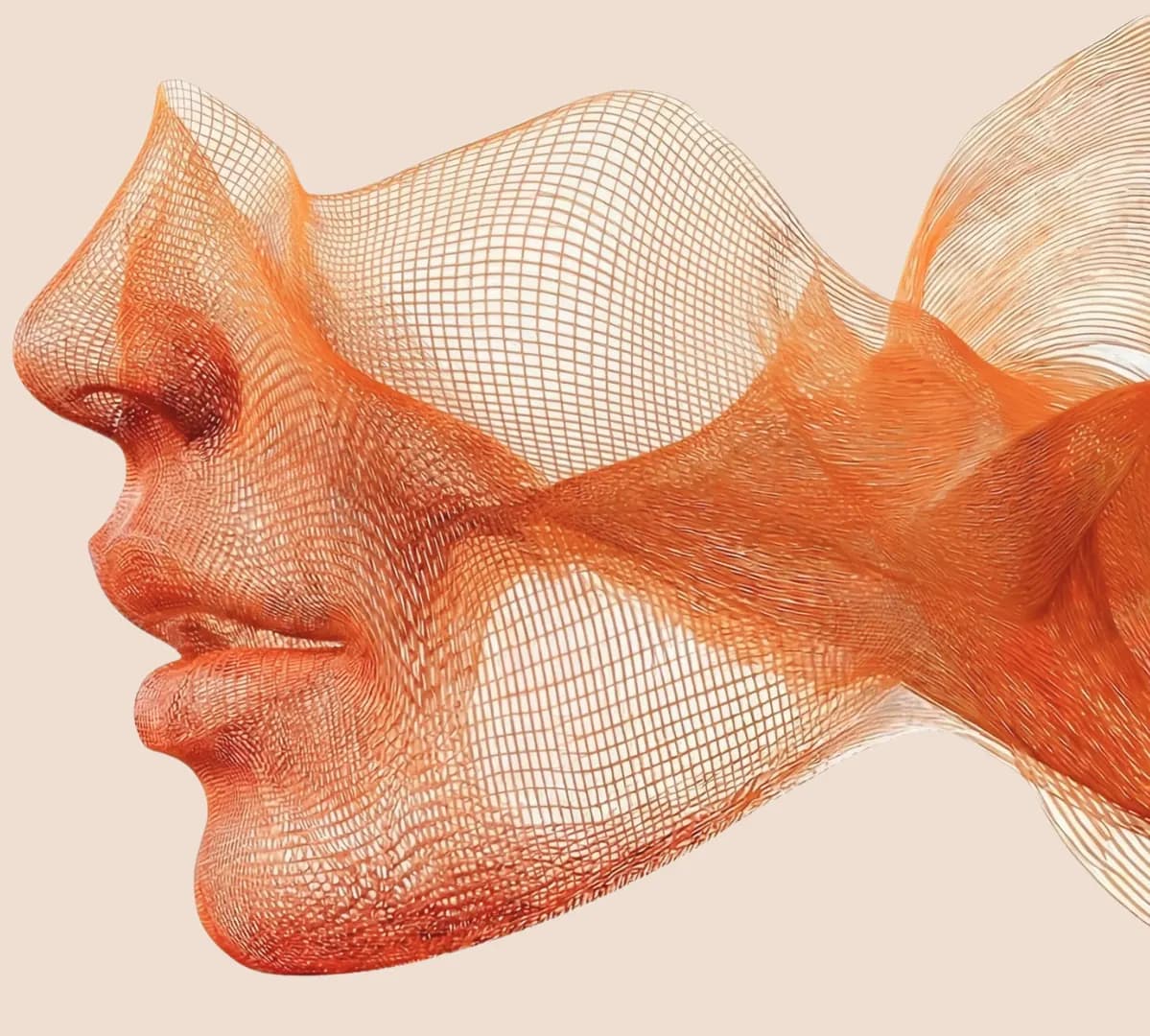 Mesh face